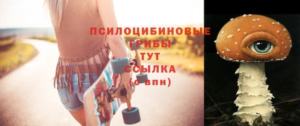 шишки Армянск