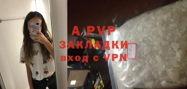 spice Арсеньев