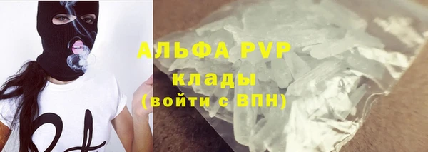 шишки Армянск