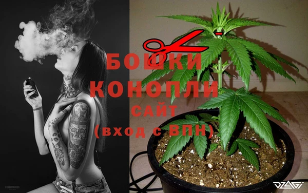 шишки Армянск