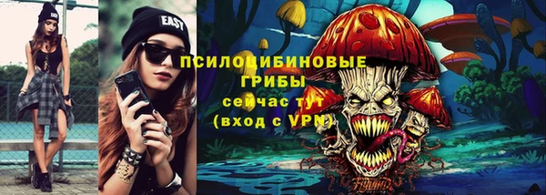 шишки Армянск
