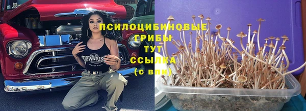 шишки Армянск