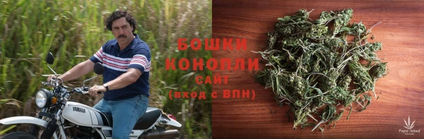 spice Арсеньев